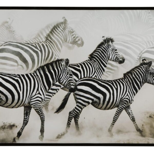 Ashley Breeda seinapilt viib Teid safari retkele