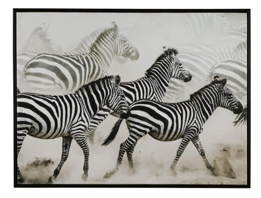 Ashley Breeda seinapilt viib Teid safari retkele