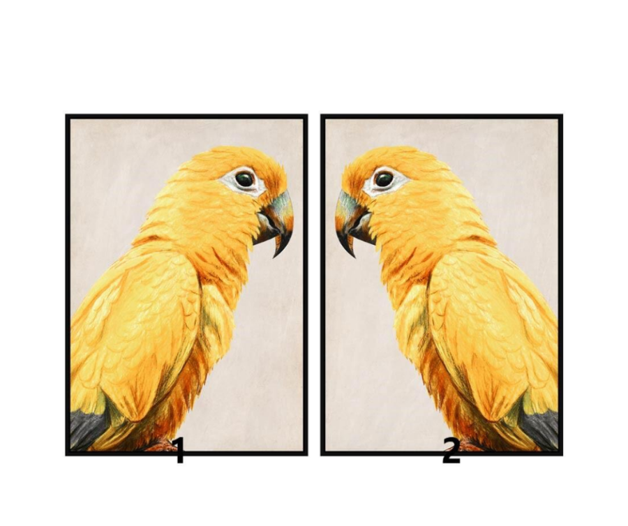 Seinapilt Parrot