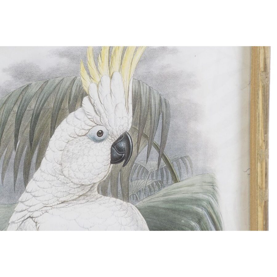 Seinapiltide komplekt Cockatoo - Image 3