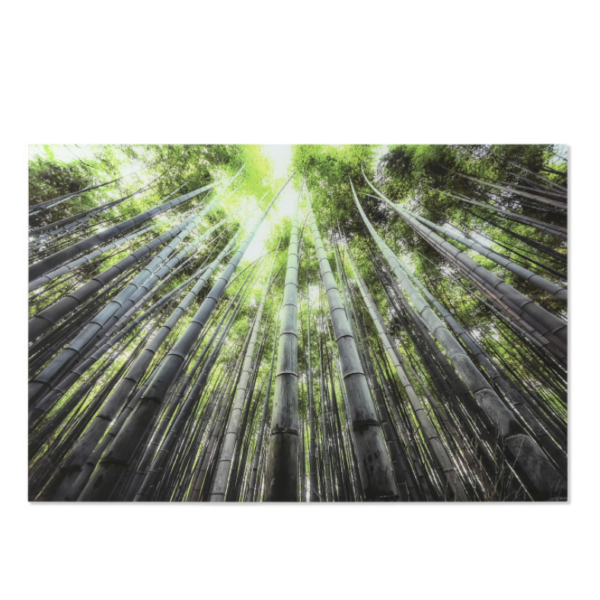 Seinapilt Bosque Verde