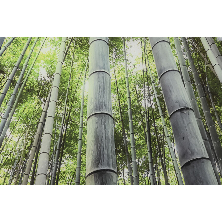 Seinapilt Bosque Verde - Image 2