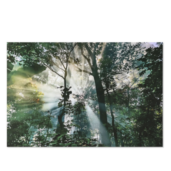Seinapilt Bosque