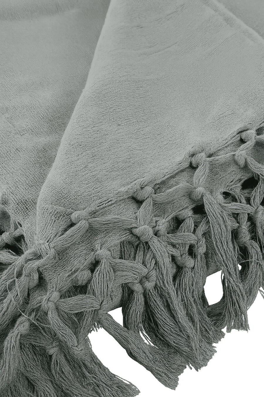 Pleed Cotton Claro - Image 3