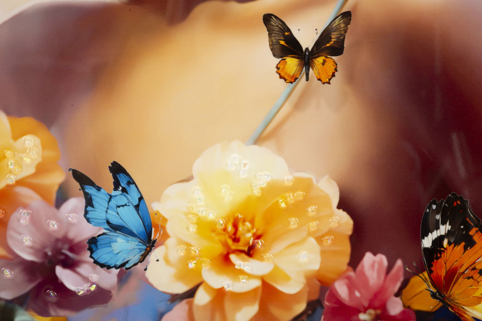 Seinapilt Marty Frame - Image 4