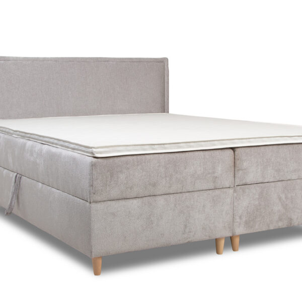 Kontinentaalvoodi Oasis